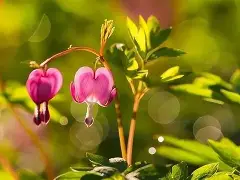 开云-Karsa新星锐不可当表现突出，掘金前途光明！